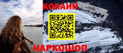СК Гатчина