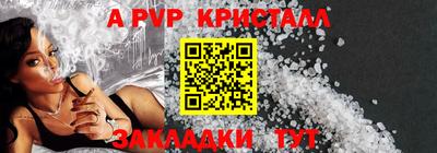 дмт Гай