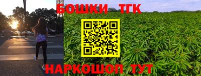 СК Гатчина