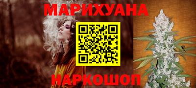 дмт Гай