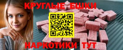СК Гатчина