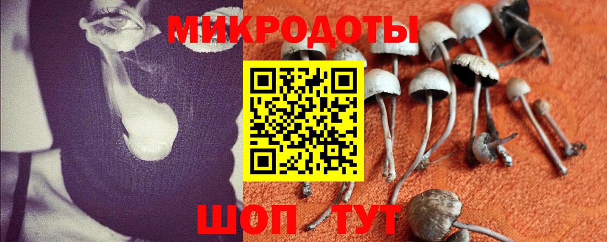 хочу наркоту  Галлюциногенные грибы мицелий  Вход с VPN  Псилоцибиновые грибы Psilocybe  Воскресенск 